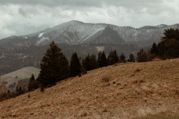 obrázok 4273 - Lodenica Šintava - SVADBA