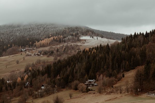 obrázok 4275 - Lodenica Šintava - SVADBA