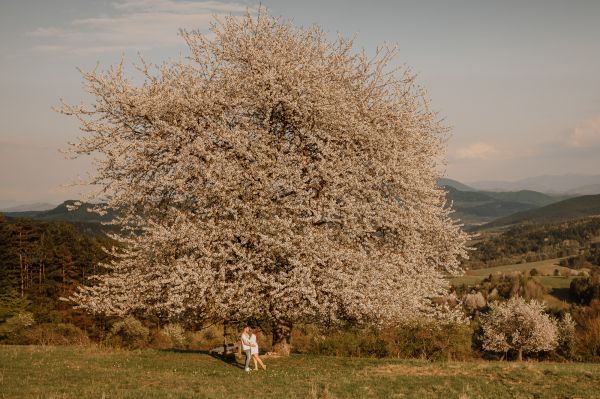 parove-fotografie-pod-ceresnou 