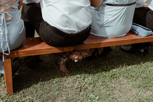 obrázok 3017 - Ekorezort Vendelín Podskalie - SVADBA