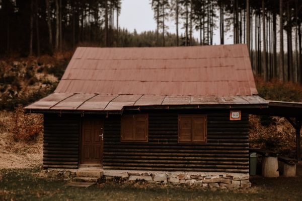 obrázok 1079 - Štiavnik - SVADBA