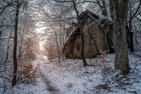 Marikovská dolina - u Vĺčka