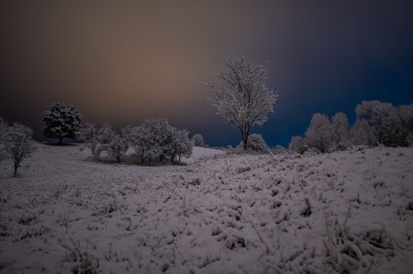 zimná rozprávka nočná fotografia - Dolná Mariková