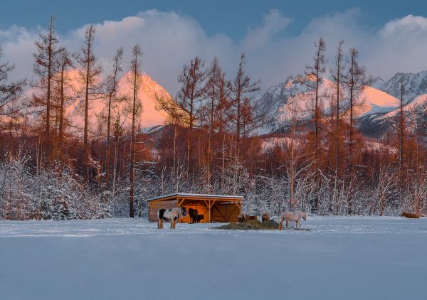 obec Gerlachov pri východe slnka - Vysoké Tatry