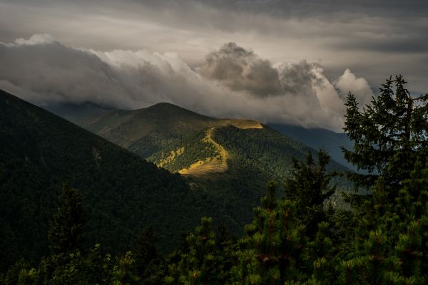 cesta na vrch Stohu -pohľad z Veľkého Rozsutca , Malá Fatra