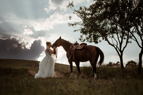 obrázok 3583 - Ekorezort Vendelín Podskalie - SVADBA