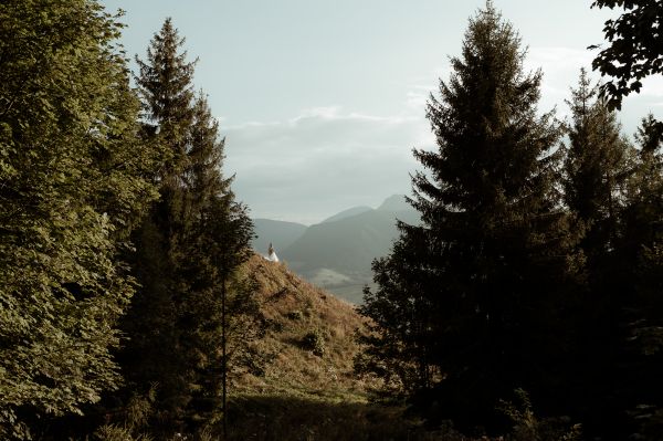 obrázok 3888 - Zázrivá, Malá Fatra - SVADBA