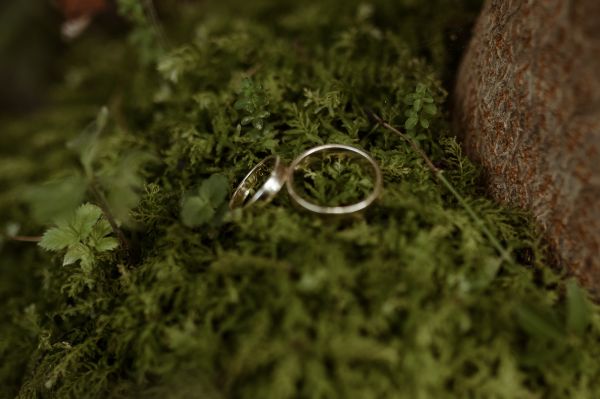 obrázok 3890 - Zázrivá, Malá Fatra - SVADBA