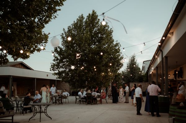 obrázok 3387 - Zemiansky dvor Šúrovce - SVADBA