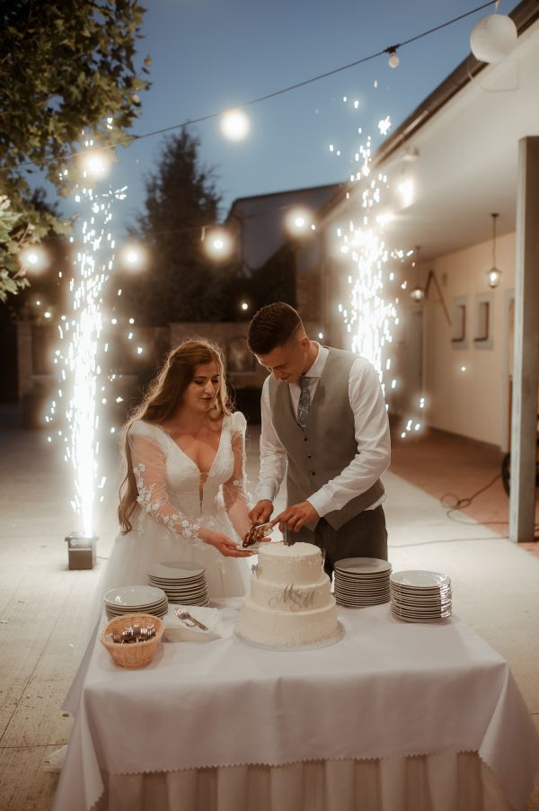 obrázok 3391 - Zemiansky dvor Šúrovce - SVADBA