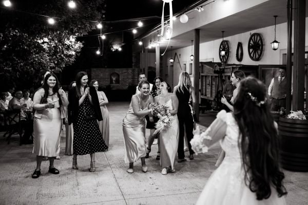 obrázok 3402 - Zemiansky dvor Šúrovce - SVADBA