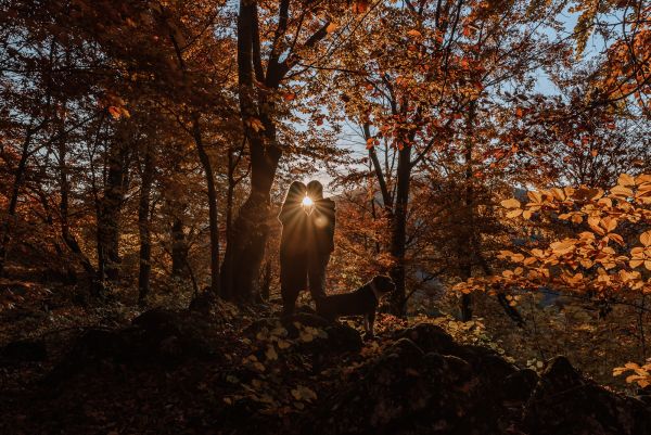 obrázok 687 -  - RANDE