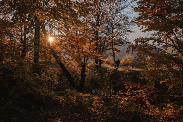 jesenne-parove-fotenie