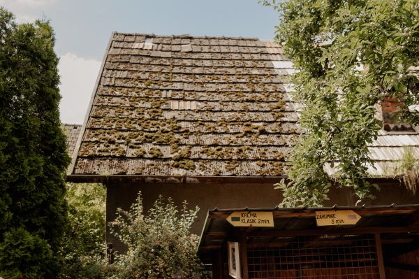 obrázok 3618 - Beluša - SVADBA